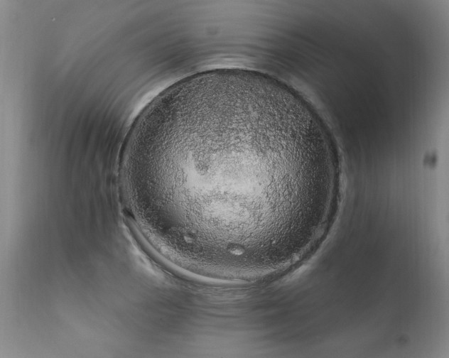 X0000111911129200907271215