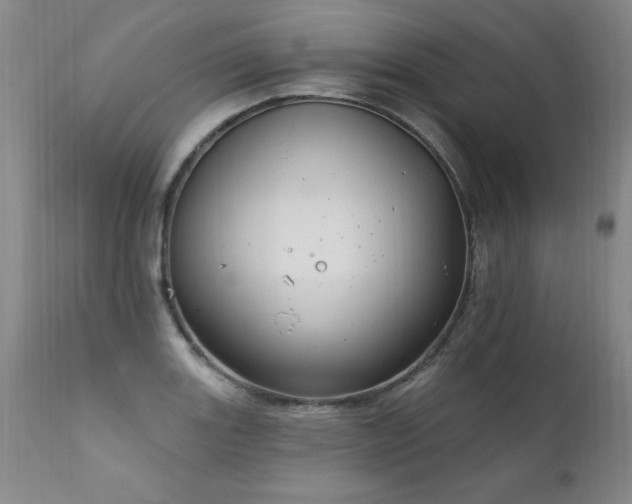 X0000111911131200907271215