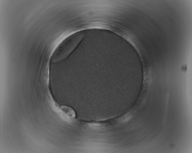 X0000111911132200907271215