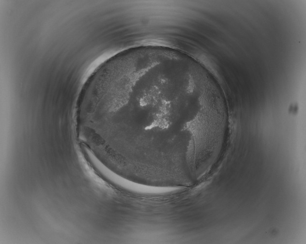 X0000111911133200907271215