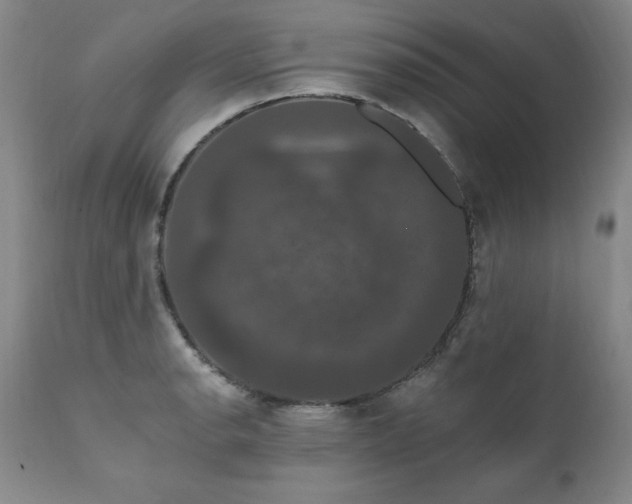 X0000111911134200907271215