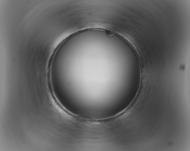 X0000111911135200907271215