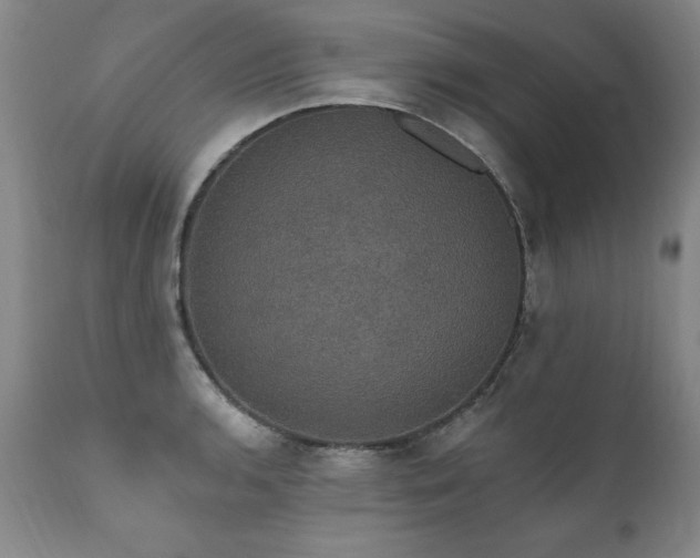 X0000111911136200907271215