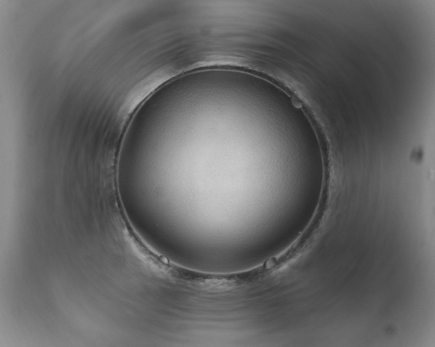 X0000111911137200907271215