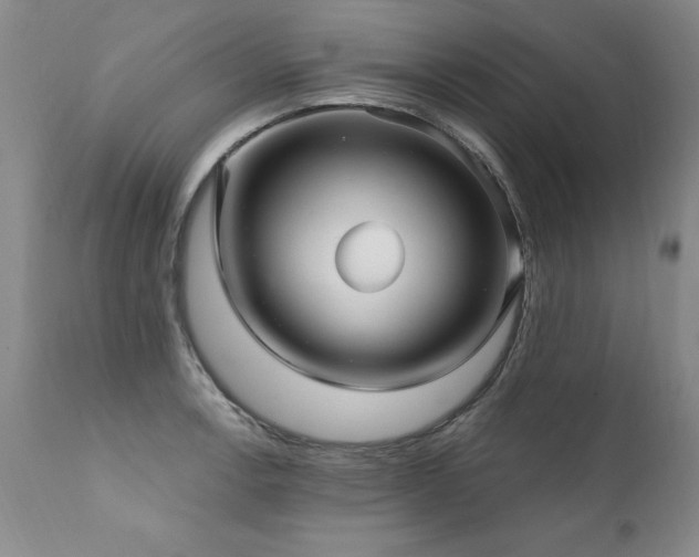 X0000111911138200907271215