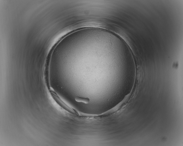 X0000111911139200907271215