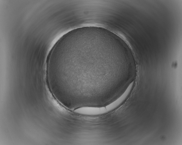 X0000111911140200907271215