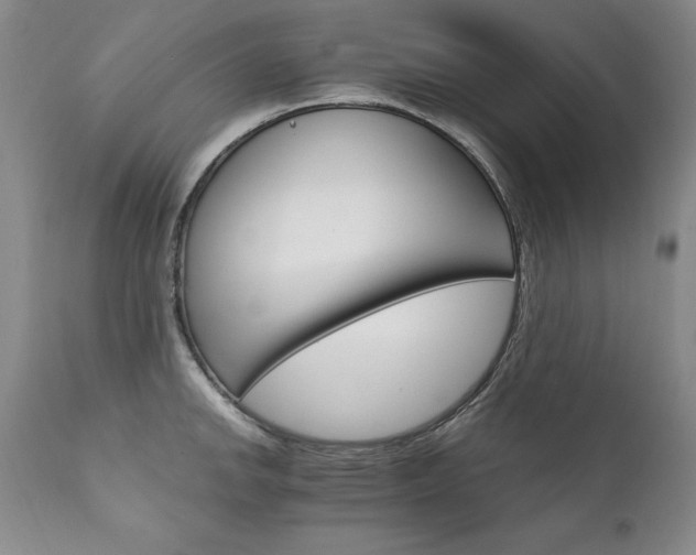 X0000111911142200907271215