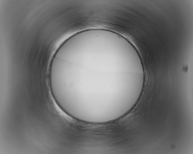 X0000111911143200907271215