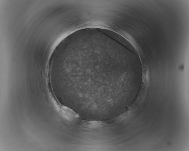 X0000111911144200907271215