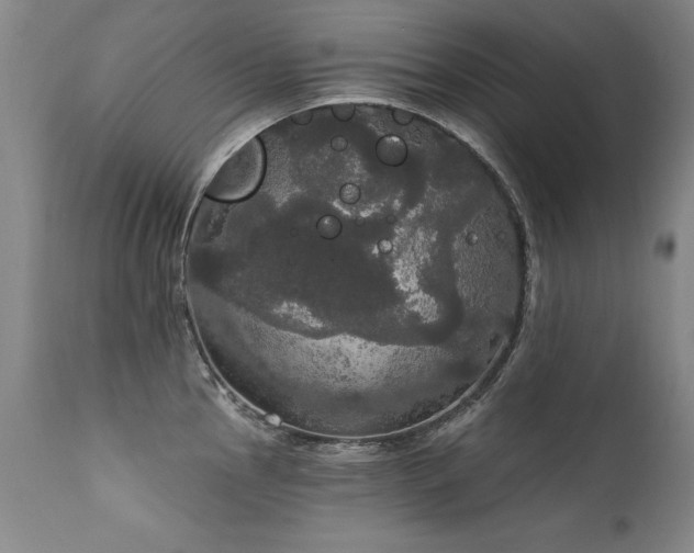 X0000111911145200907271215