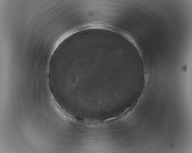 X0000111911146200907271215