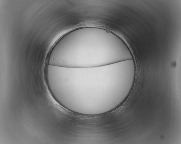 X0000111911147200907271215