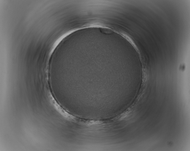 X0000111911148200907271215