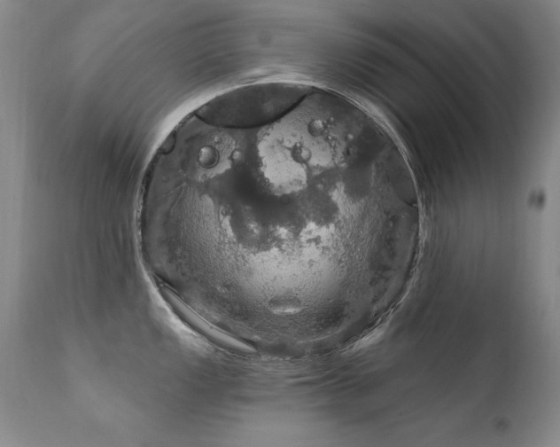 X0000111911149200907271215