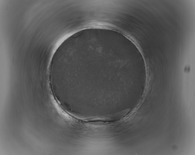 X0000111911152200907271215