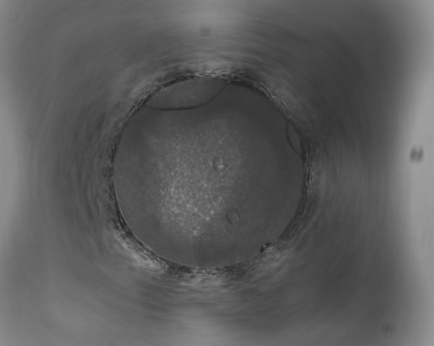 X0000111911153200907271215