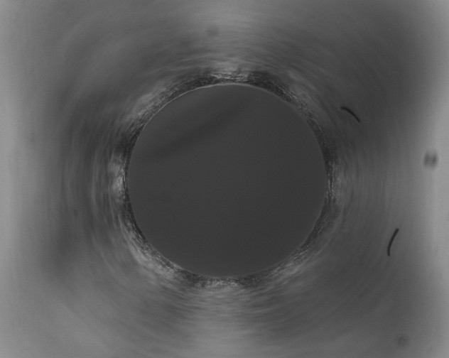 X0000111911154200907271215