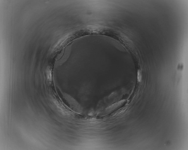 X0000111911155200907271215