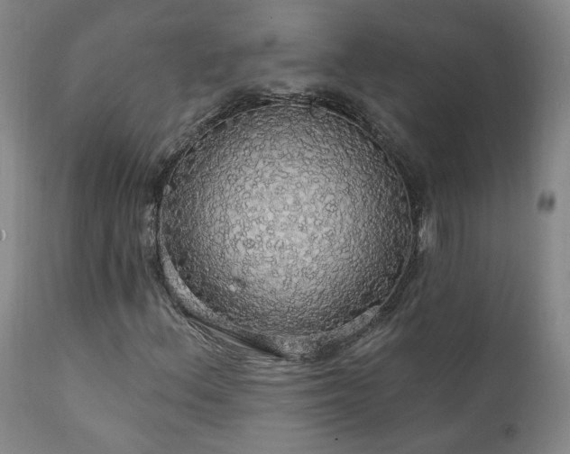 X0000111911156200907271215
