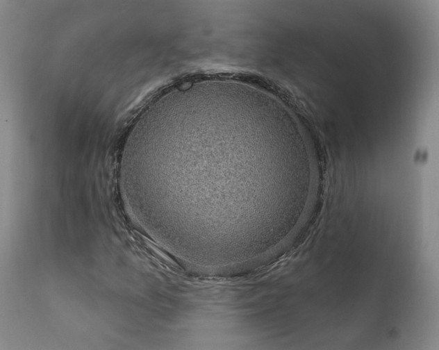 X0000111911157200907271215