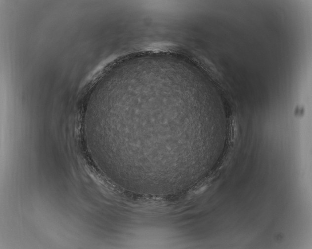 X0000111911158200907271215