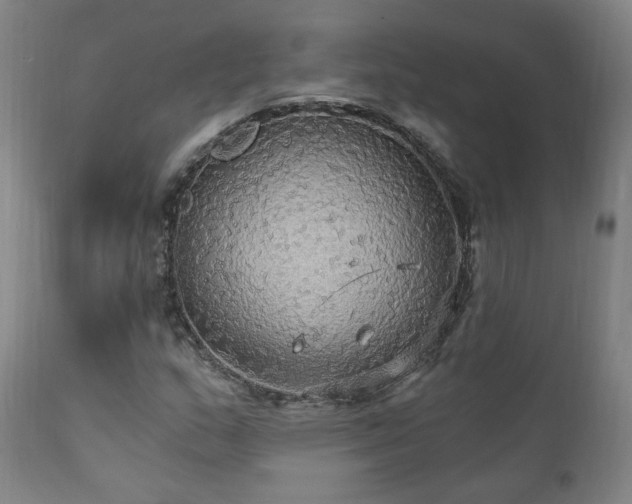 X0000111911159200907271215