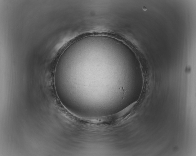 X0000111911160200907271215