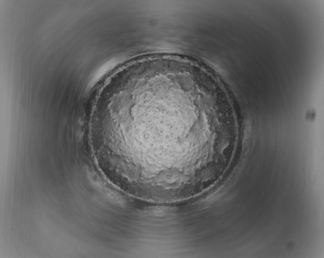 X0000111911163200907271214
