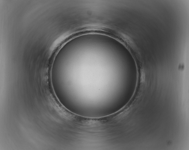 X0000111911164200907271214
