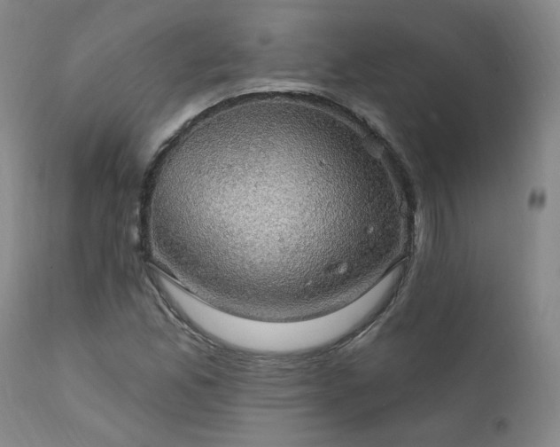 X0000111911165200907271214