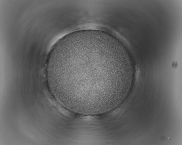 X0000111911166200907271214
