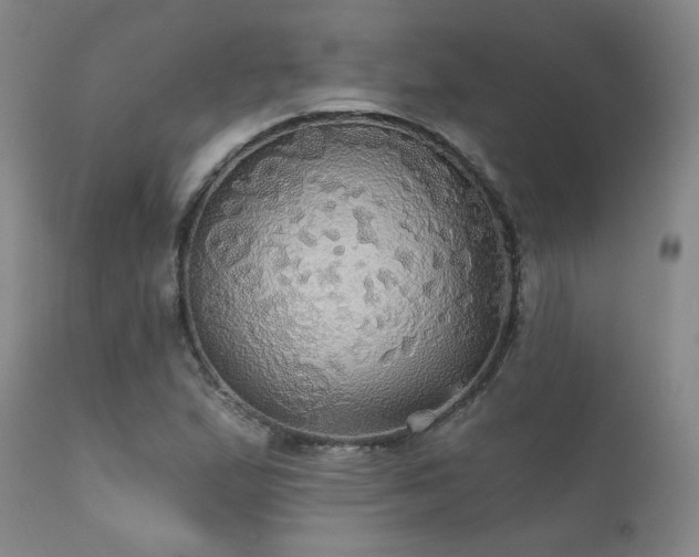 X0000111911167200907271214