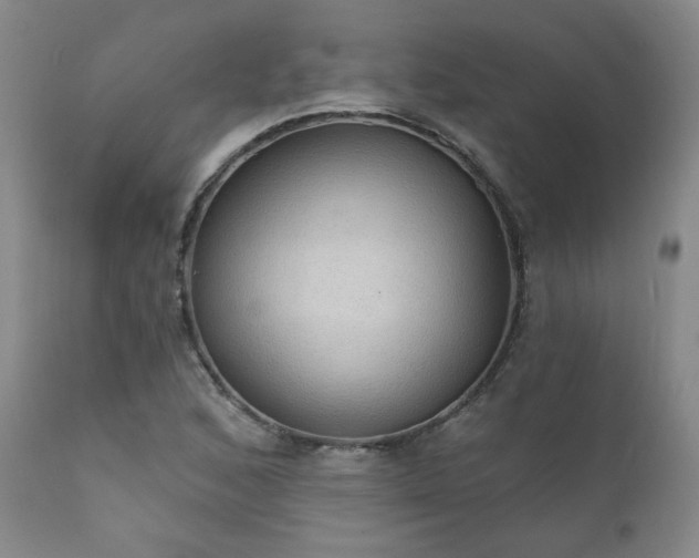 X0000111911168200907271214