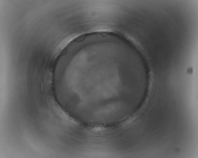 X0000111911169200907271214