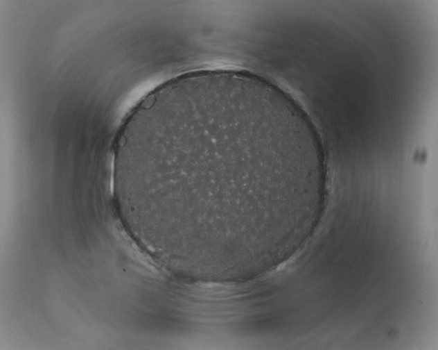 X0000111911171200907271214
