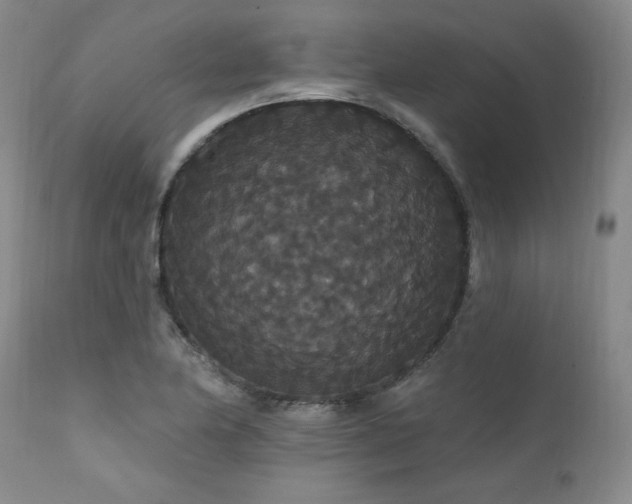 X0000111911174200907271214