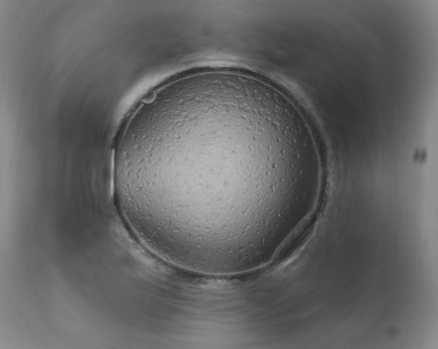 X0000111911175200907271214
