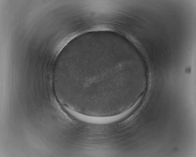X0000111911177200907271214