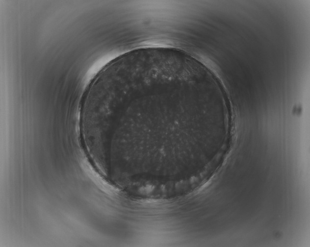 X0000111911179200907271214