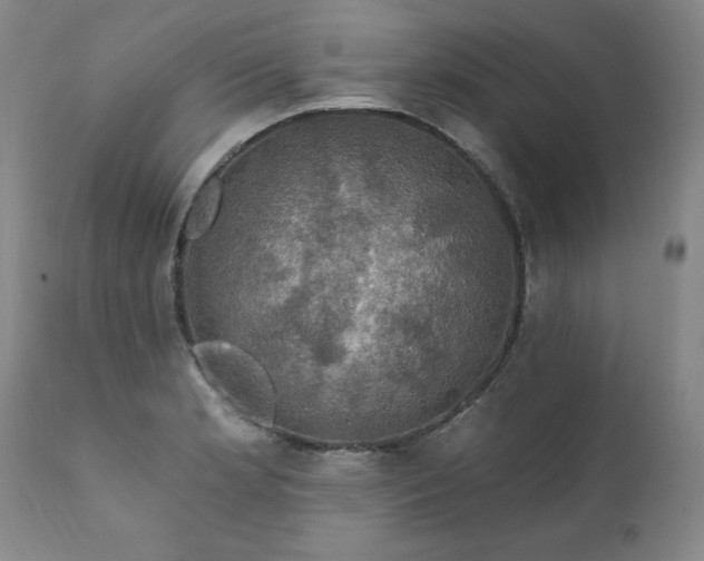 X0000111911181200907271214
