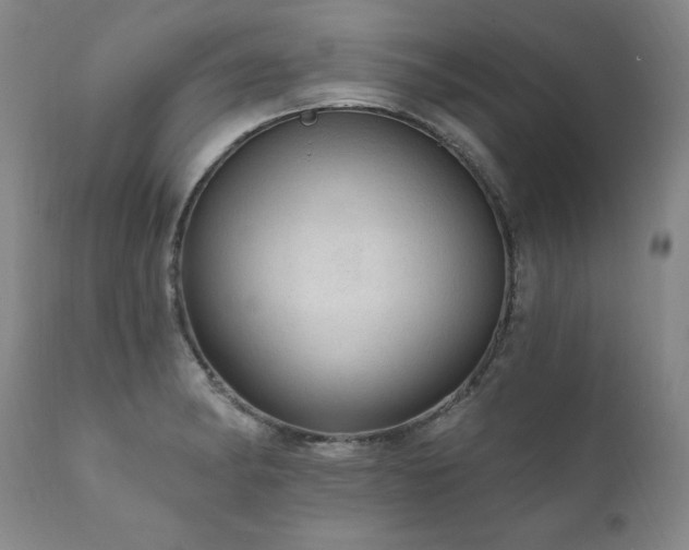 X0000111911182200907271214