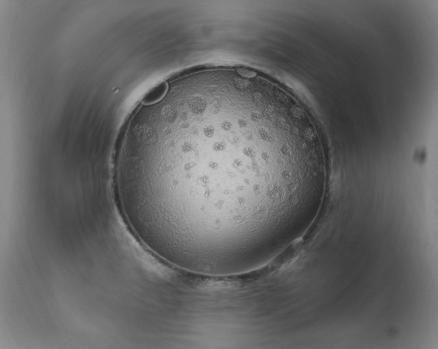 X0000111911183200907271214
