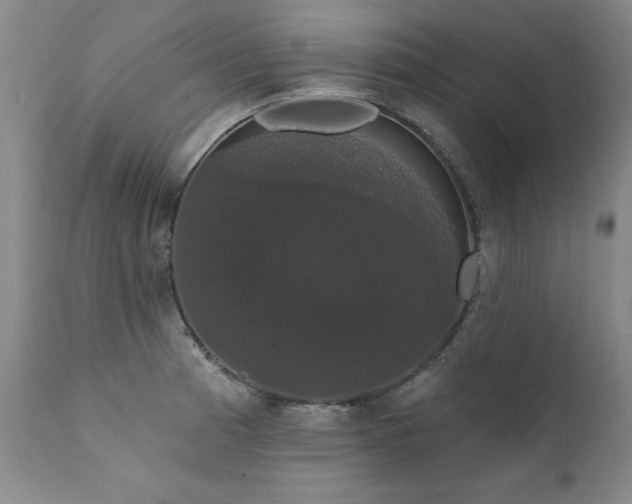 X0000111911185200907271214