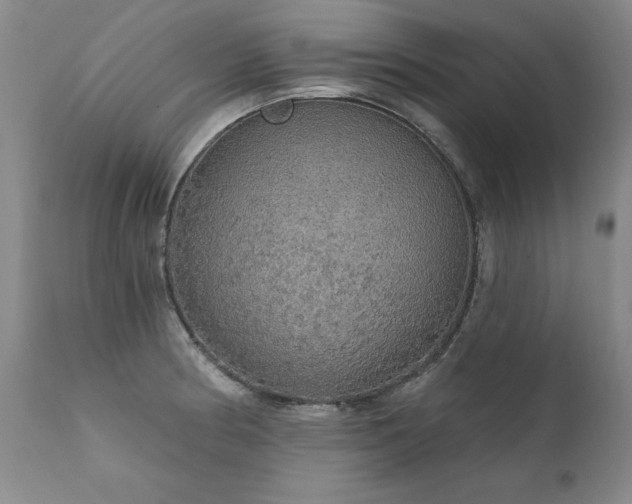 X0000111911186200907271214