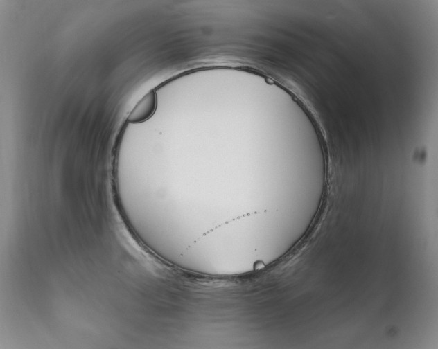X0000111911187200907271214