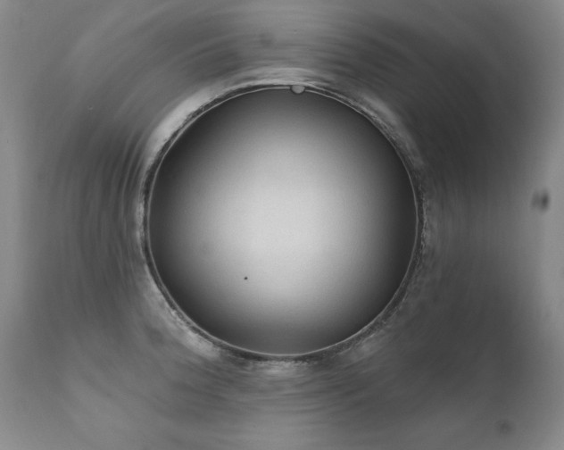 X0000111911188200907271214