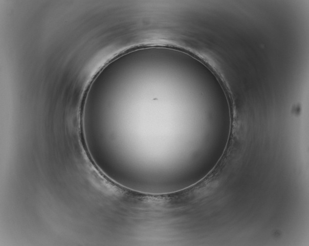X0000111911191200907271214