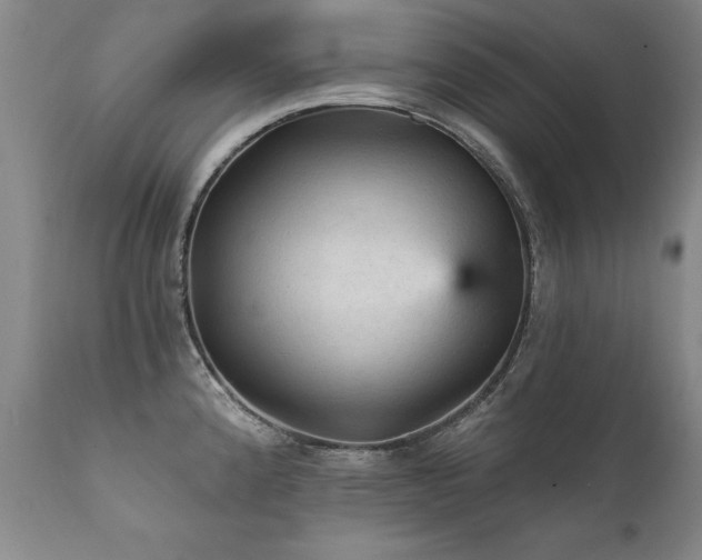 X0000111911192200907271214