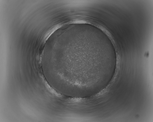 X0000111911193200907271214